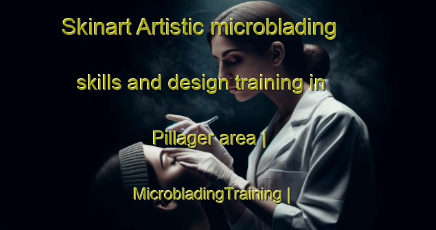 Skinart Artistic microblading skills and design training in Pillager area | MicrobladingTraining | MicrobladingClasses | SkinartTraining-United States